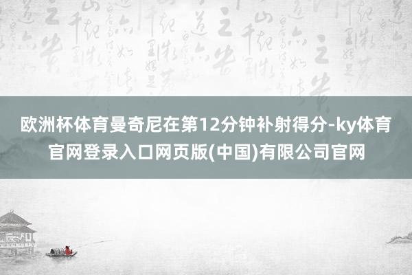 欧洲杯体育曼奇尼在第12分钟补射得分-ky体育官网登录入口网页版(中国)有限公司官网