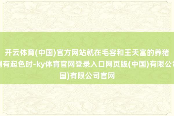 开云体育(中国)官方网站就在毛容和王天富的养猪业绩刚有起色时-ky体育官网登录入口网页版(中国)有限公司官网