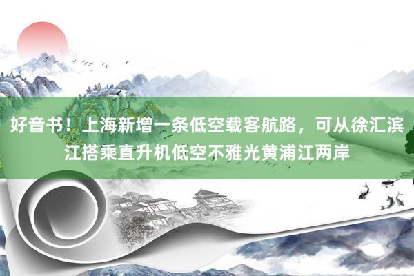 好音书！上海新增一条低空载客航路，可从徐汇滨江搭乘直升机低空不雅光黄浦江两岸
