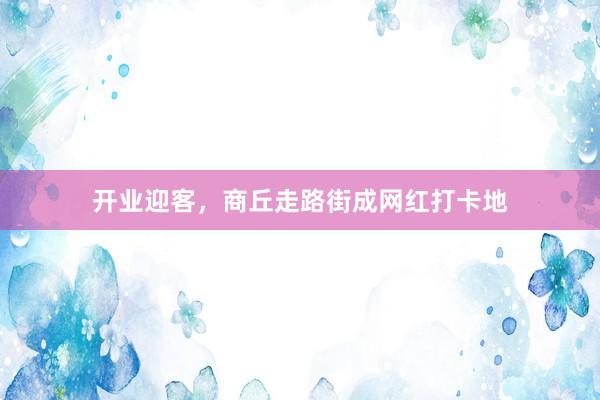 开业迎客，商丘走路街成网红打卡地