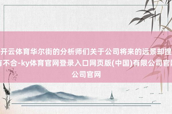 开云体育华尔街的分析师们关于公司将来的远景却捏有不合-ky体育官网登录入口网页版(中国)有限公司官网