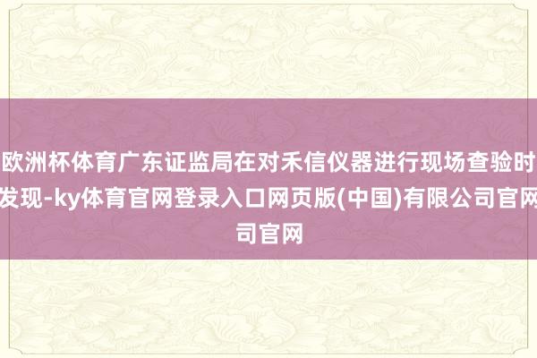 欧洲杯体育广东证监局在对禾信仪器进行现场查验时发现-ky体育官网登录入口网页版(中国)有限公司官网