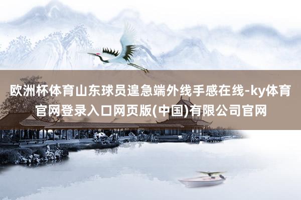 欧洲杯体育山东球员遑急端外线手感在线-ky体育官网登录入口网页版(中国)有限公司官网
