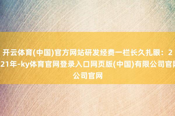 开云体育(中国)官方网站研发经费一栏长久扎眼：2021年-ky体育官网登录入口网页版(中国)有限公司官网
