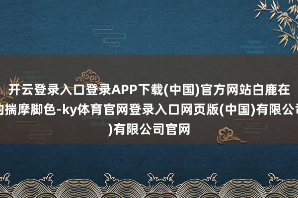 开云登录入口登录APP下载(中国)官方网站白鹿在负责的揣摩脚色-ky体育官网登录入口网页版(中国)有限公司官网